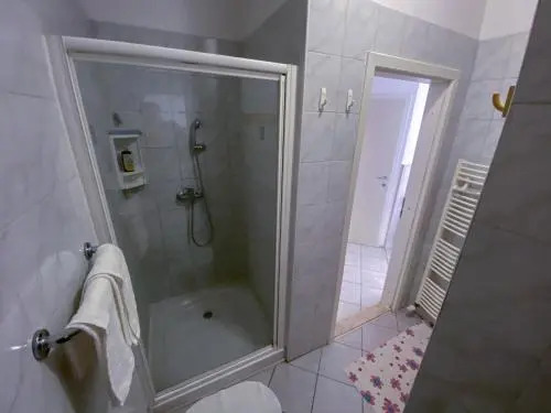Apartmaji Viler
