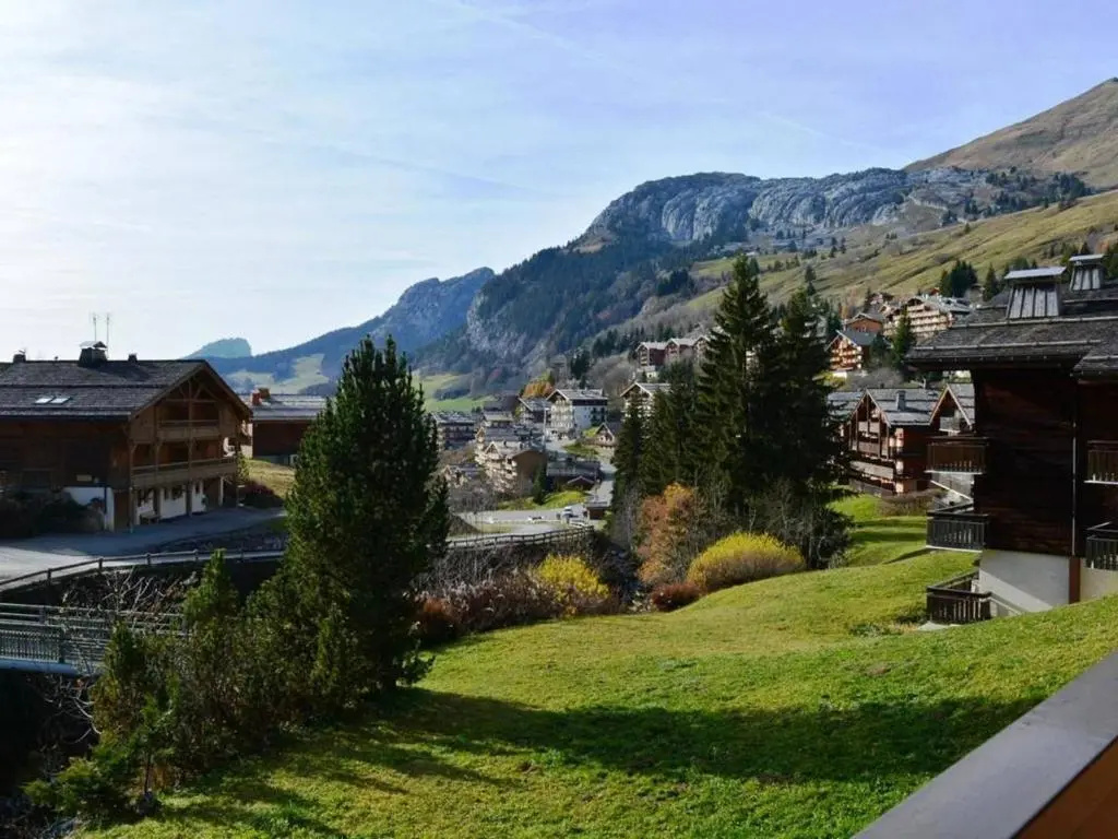 Appartement Le Grand-Bornand, 1 pièce, 4 personnes - FR-1-241-96