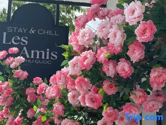 Les Amis Phu Quoc - Grand World whole house 18 pax, near the beach.