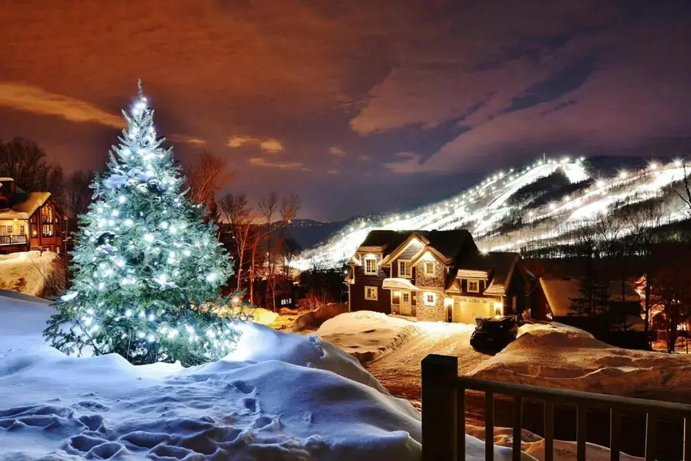 Chalets Alpins - 19 Chemin Blanc