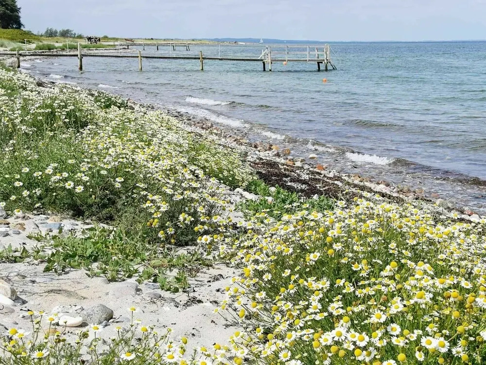 Pleasing Holiday Home in Syddanmark near Sea