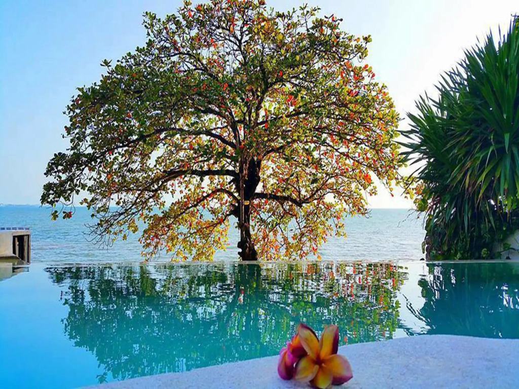 Saravoan-Kep Hotel