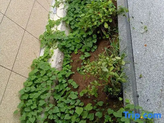 Anji Heshe Homestay (Tianmu Mountain Rafting)
