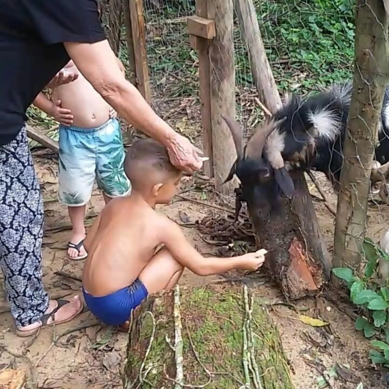 Pousada A Marca do Faraó