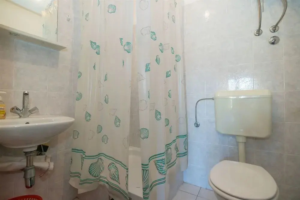 Apartment Ante TonÄi