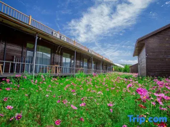 Nalati Litu Hotel