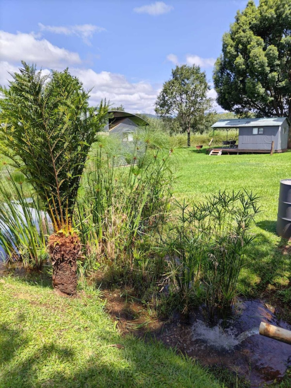 Sabie River Camp