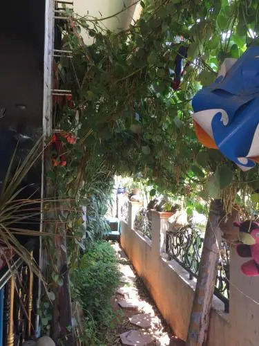 Vertical Garden Hostel