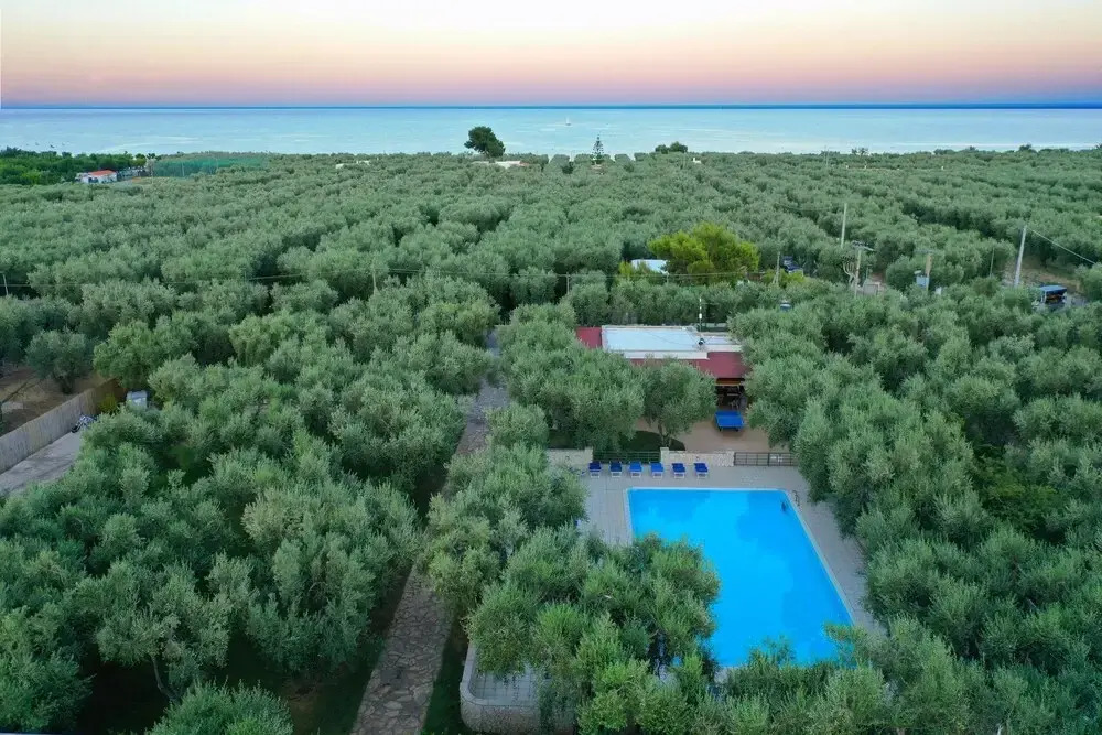 Apartment ulivo with pool and private beach