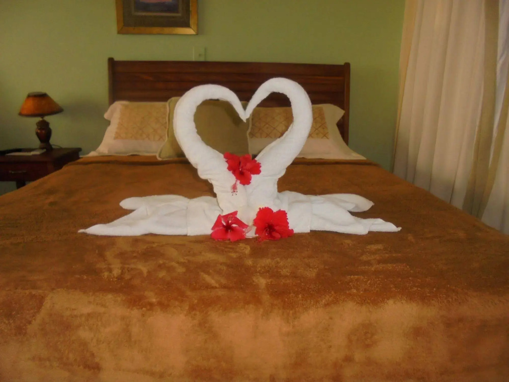 Hotel Delfin Playa Bejuco