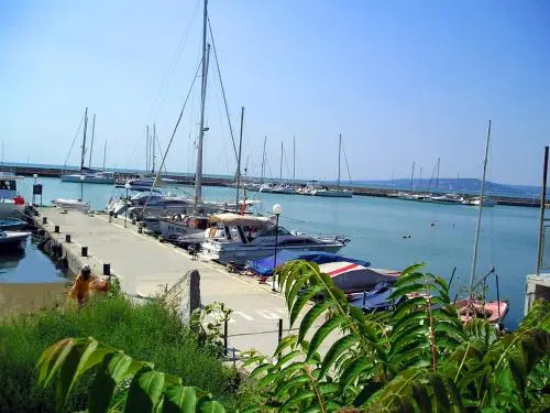 Vila Dionis
