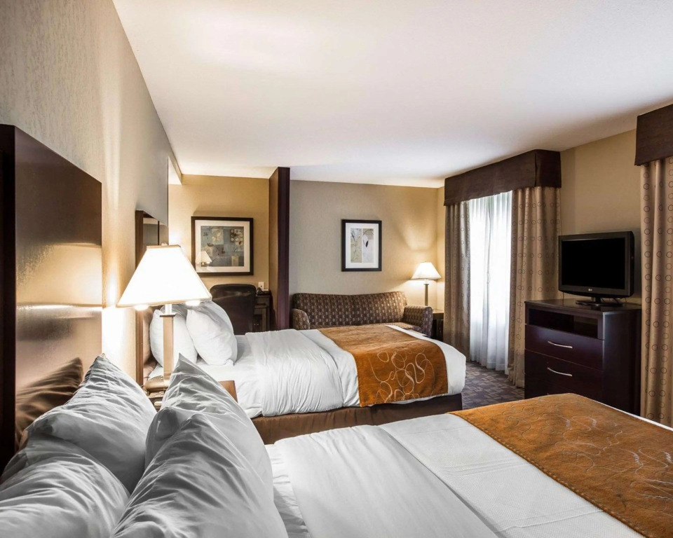Comfort Suites Whitsett - Greensboro East