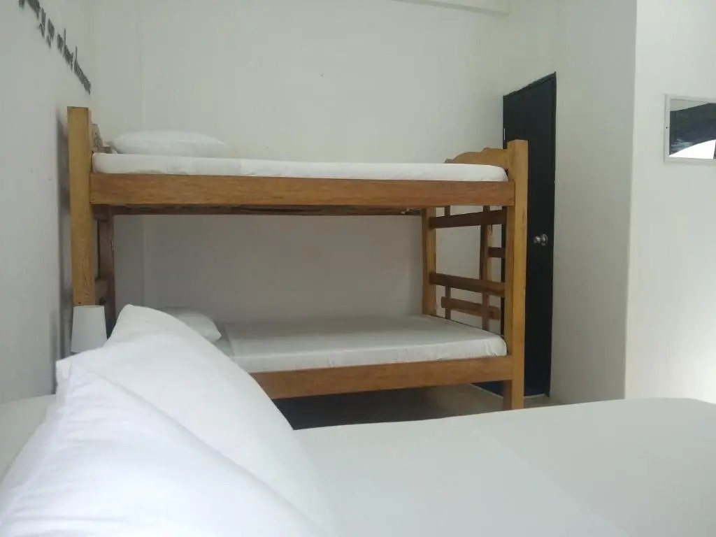 Basilica Hostal y Cafe - Hostel