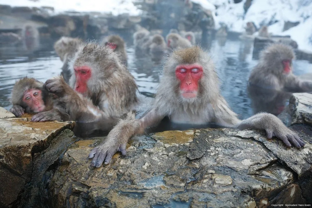 Raki Onsenryokan