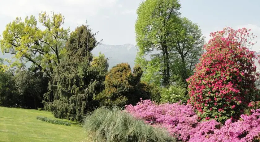 Zaffiro Rosa