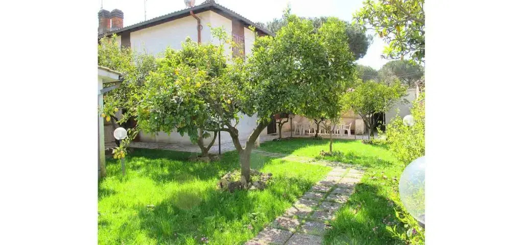 Biondy - A 200mt dal mare