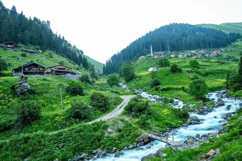 Zirve Pension