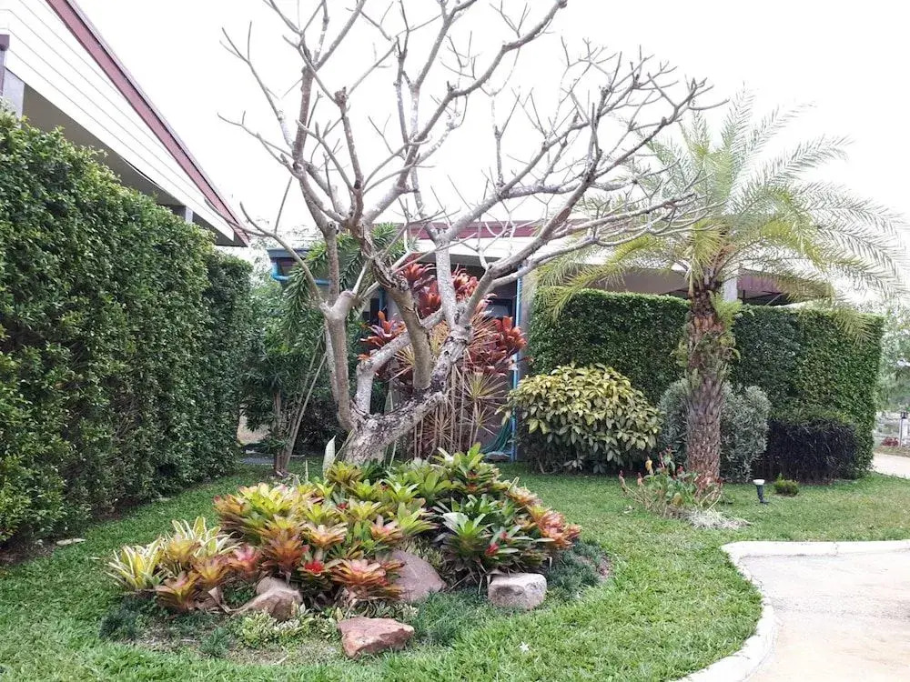 SP Resort