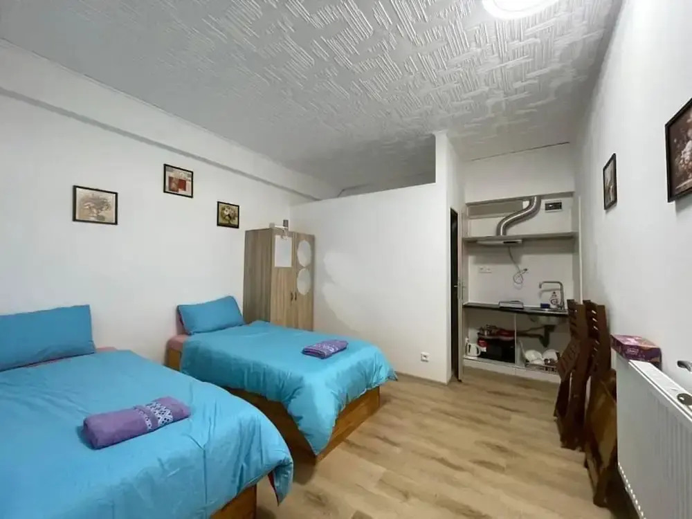 Cozy Studio in Zizkov, Prague