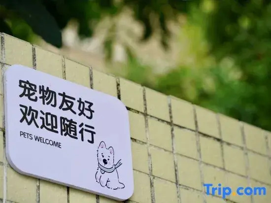 Zhuhai Qi'ao Island Miss Ruo's Courtyard Homestay (Tianhe Street)