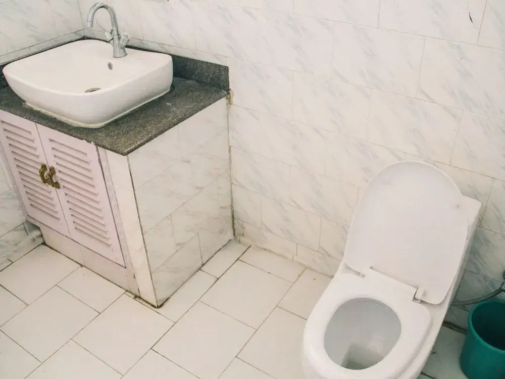 Hotel Lumbini