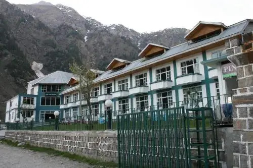 Pine Top Naran