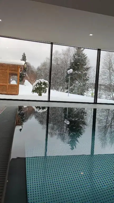 Schluchsee Ferienwohnung 22010