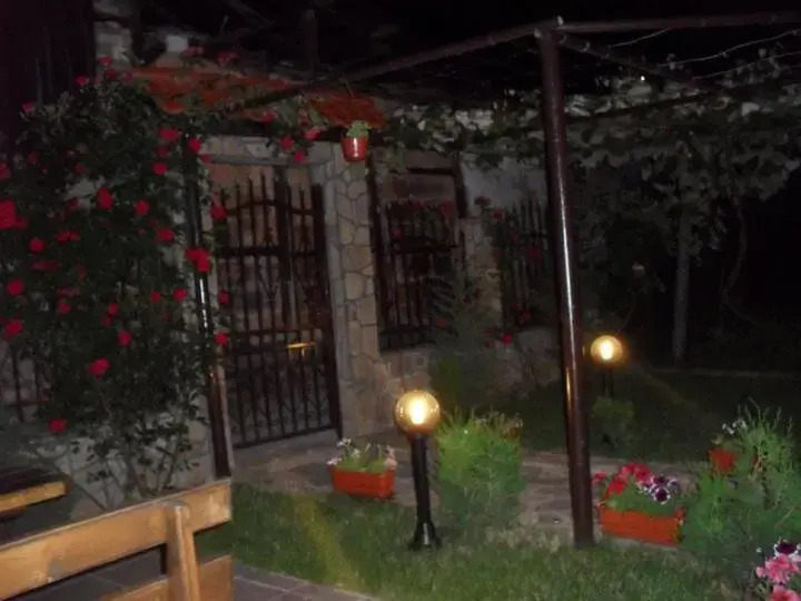 Vasilevi House