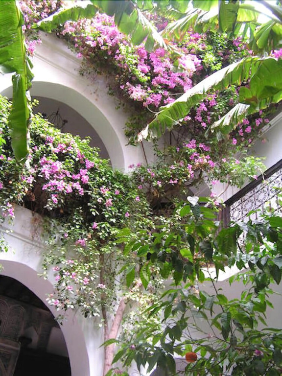 Riad Dar Jabel