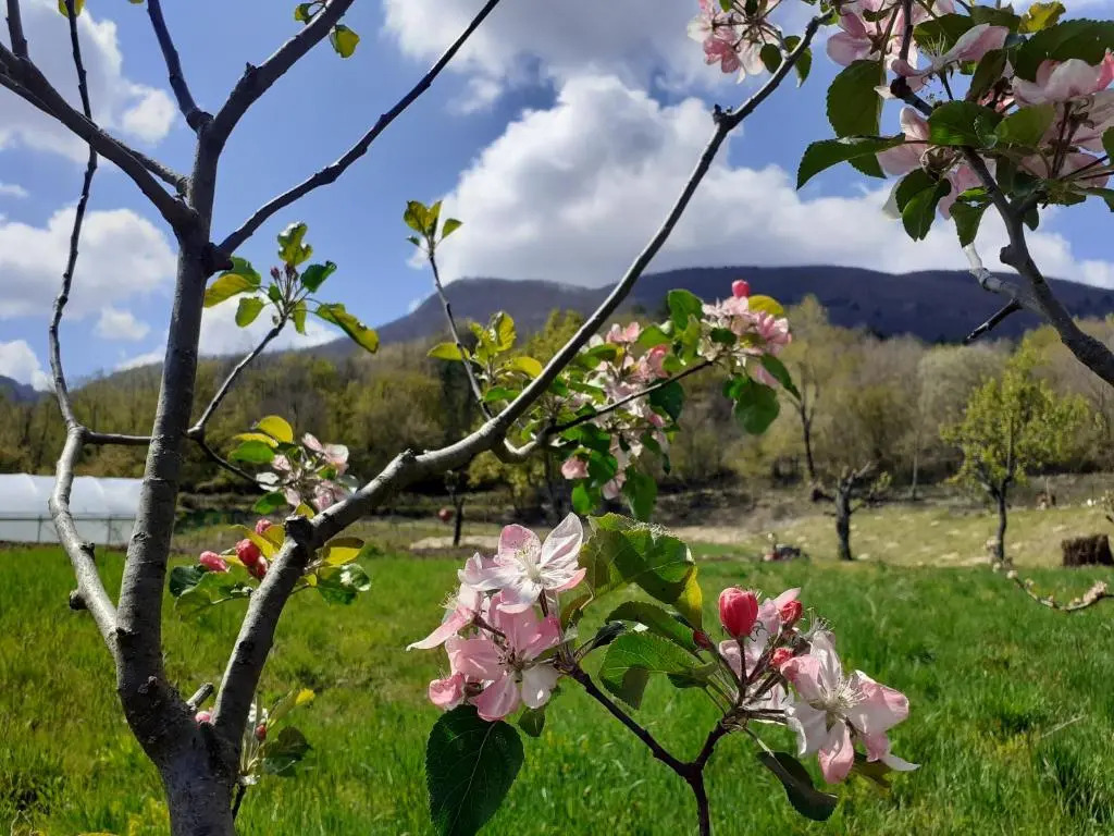 Cà Gennara Agri B&B