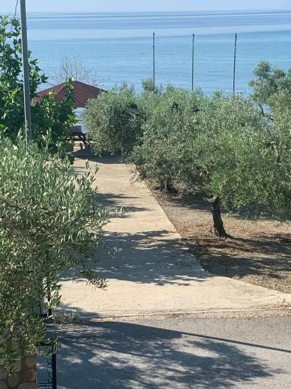 Seaside Folia Beach Kavala