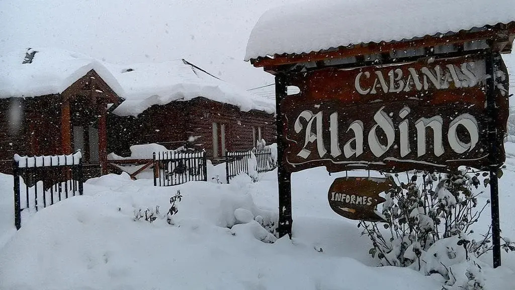 Aladino Cabañas
