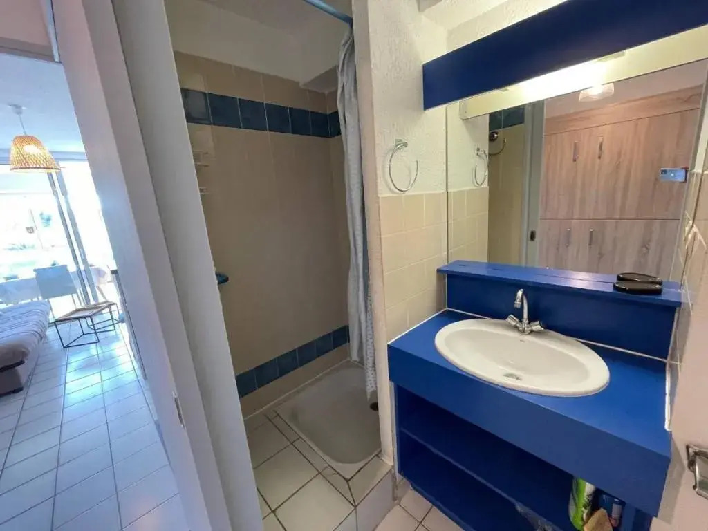 Appartement Argelès-sur-Mer, 1 pièce, 4 personnes - FR-1-225-91