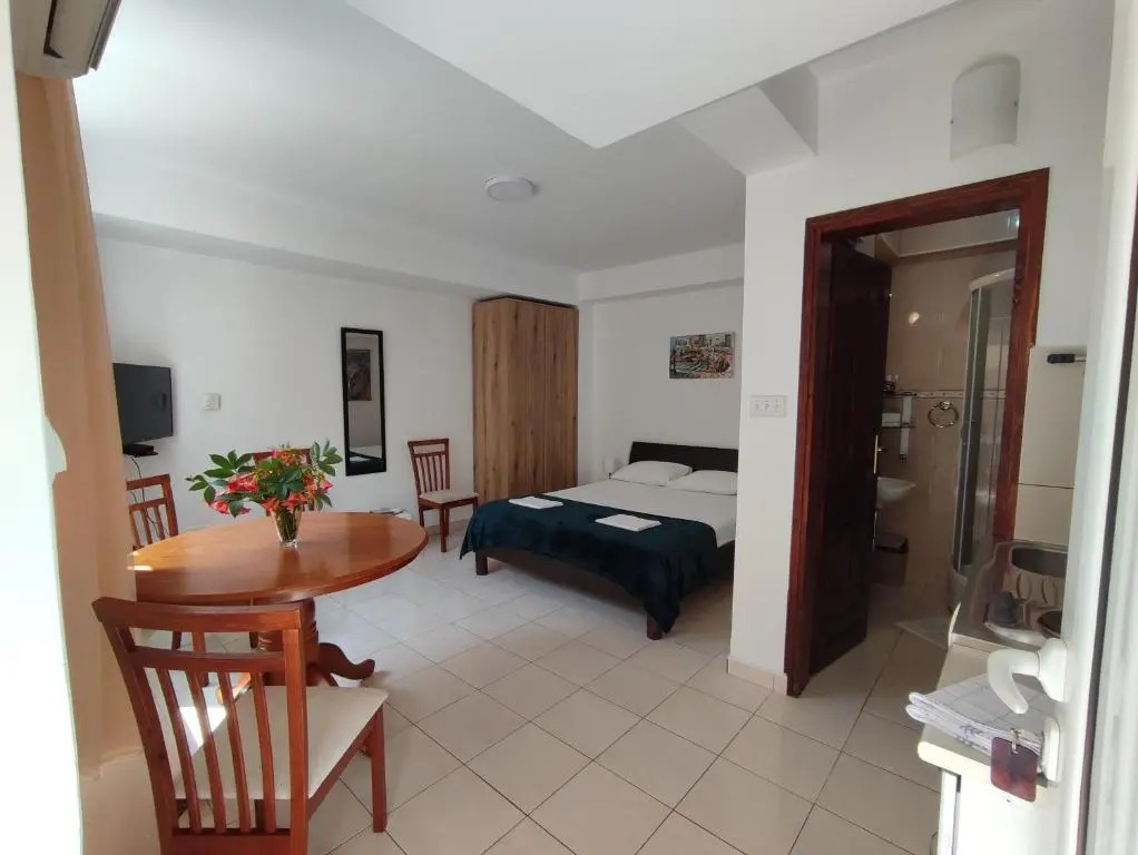 Studio Apartman Radimir