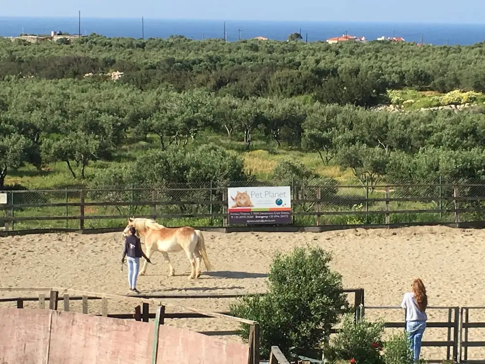 Arion Stables & Apartments