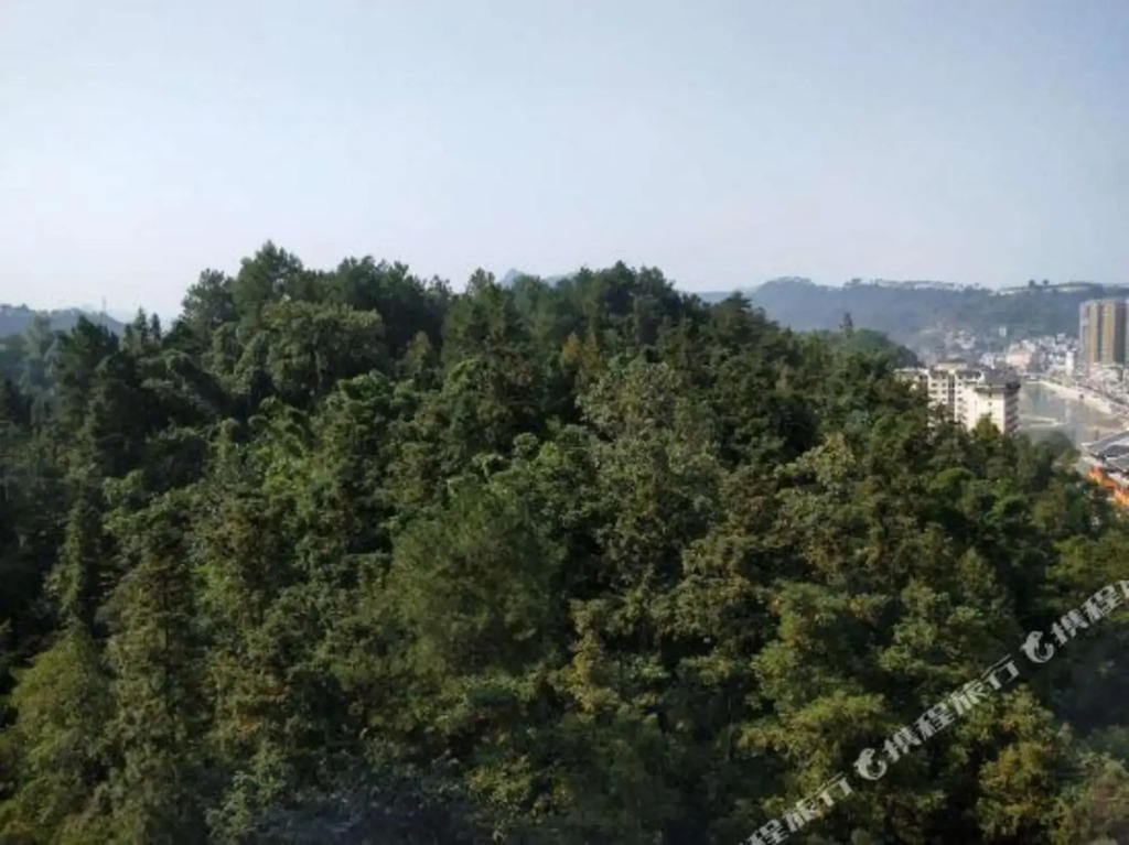 Ruijiang International Hotel