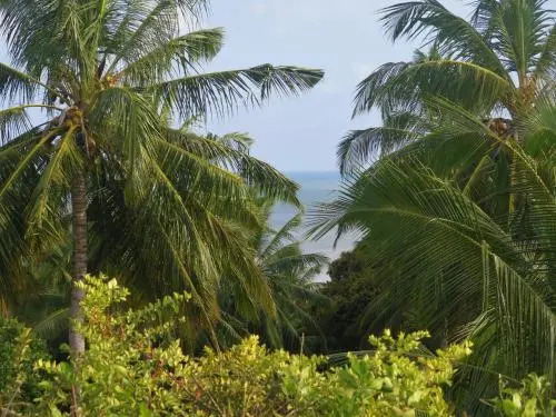 Butiama Bustani Hotel