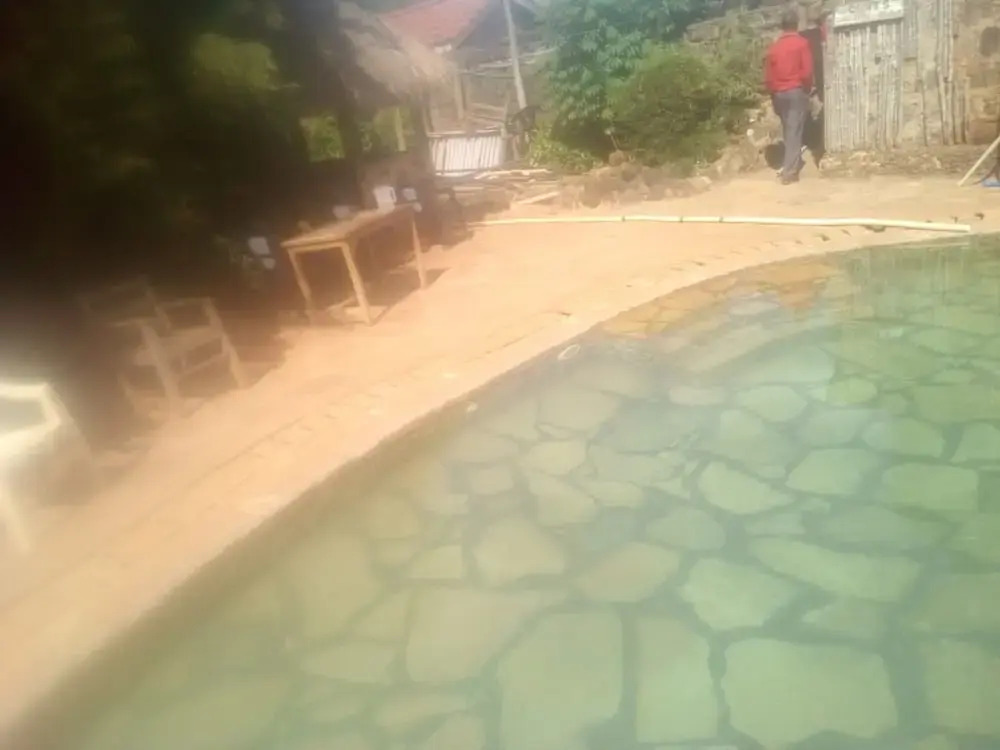 Roots Resort
