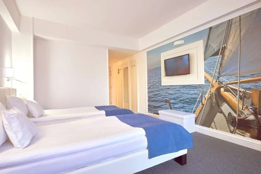Ibis Constanta