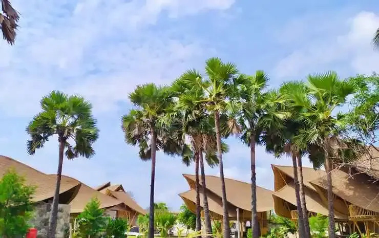 Tanoma Sumba