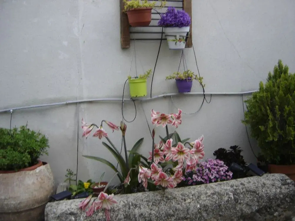 Casa Rural "La Bardena Blanca I "