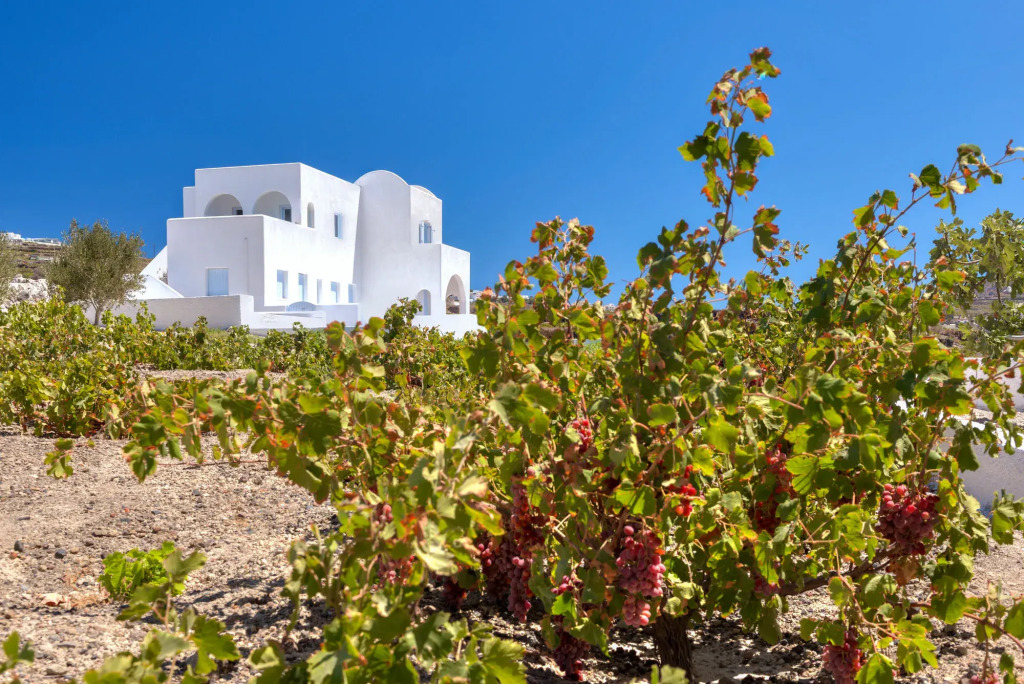 Blanca Luxury Villa
