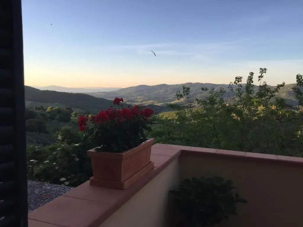 Terrazza a Campana