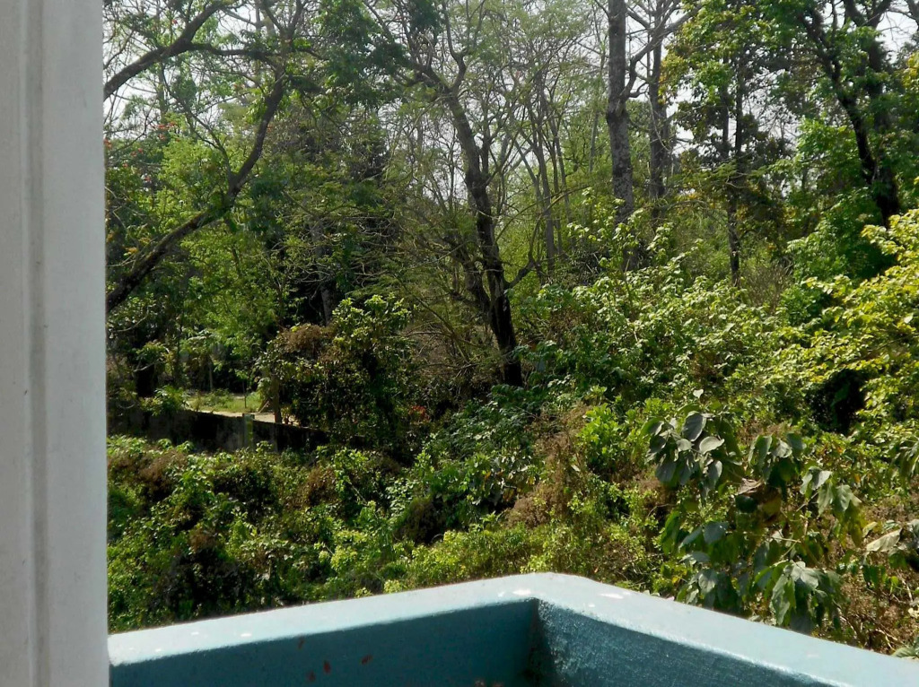 Santih Pala by Jungle Adventure World Hotel