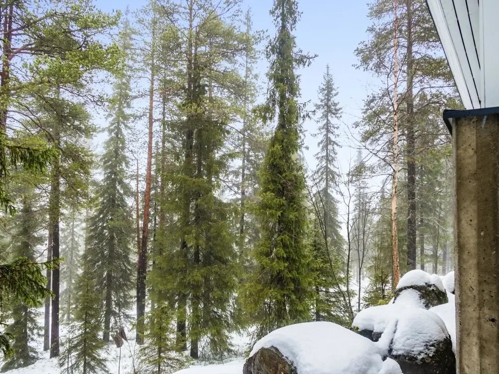 Rukan pyh j Rvenrinne as 4 Kuusamo