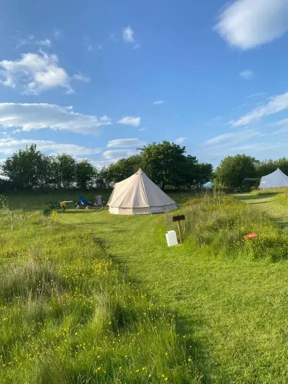 Daisy Bell Tent at Belan Bluebell Woods