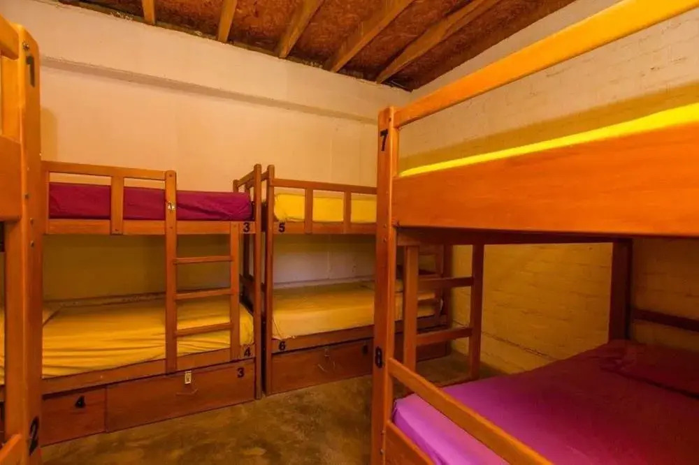 Palosanto Backpackers