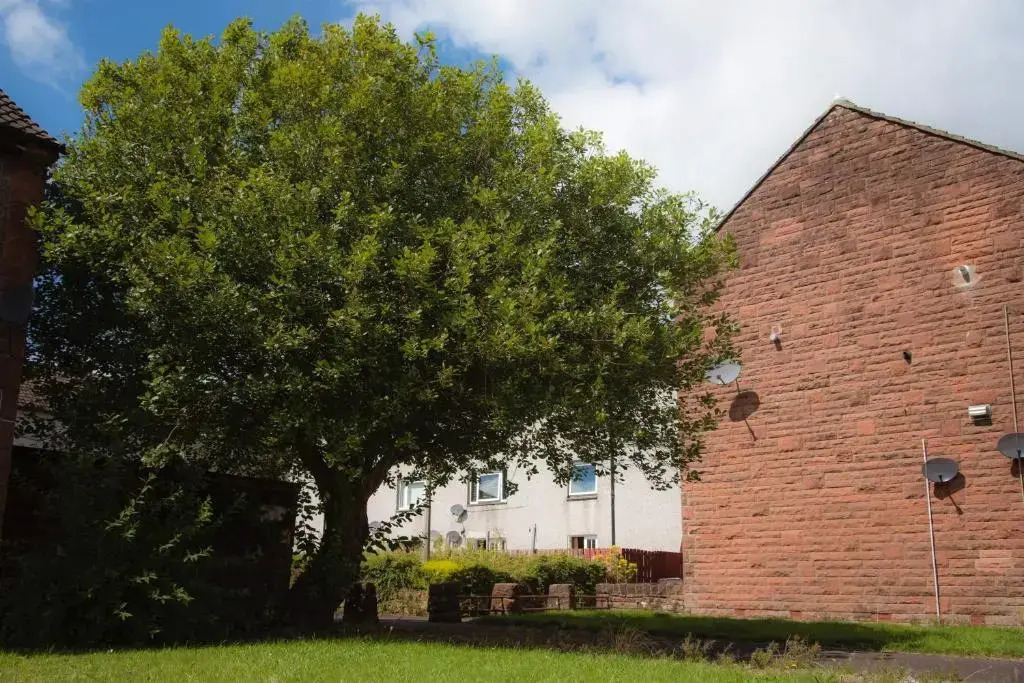 Dumfries Apartment