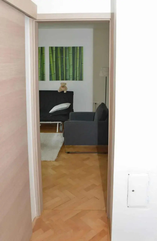 Bright Apartment
