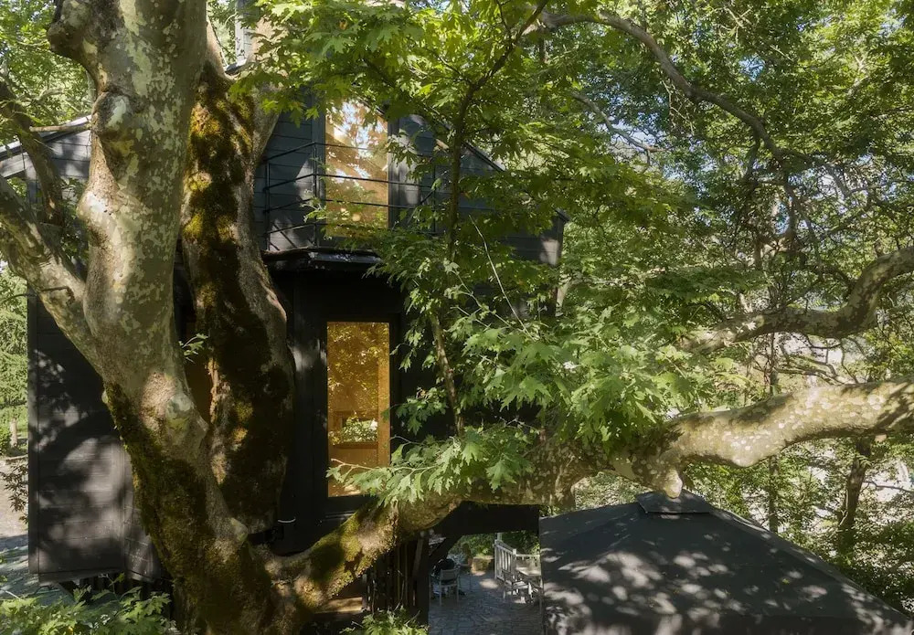 Aoos river Treehouse